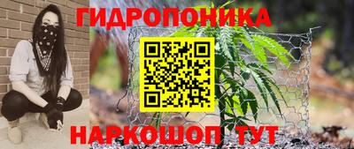 стафф Бузулук