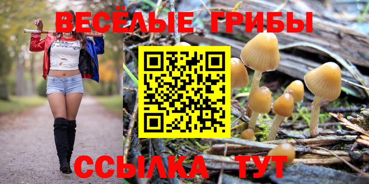 Галлюциногенные грибы Cubensis Советский